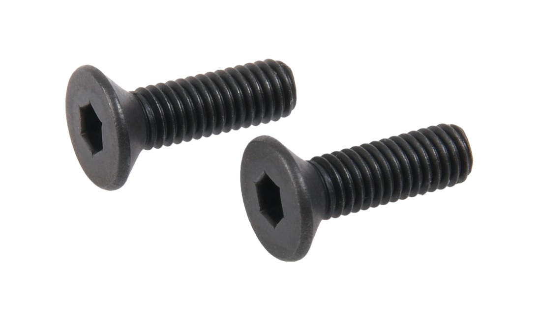 SECUTOR GLADIUS MAGNA RMR TRIJICON SCREWS