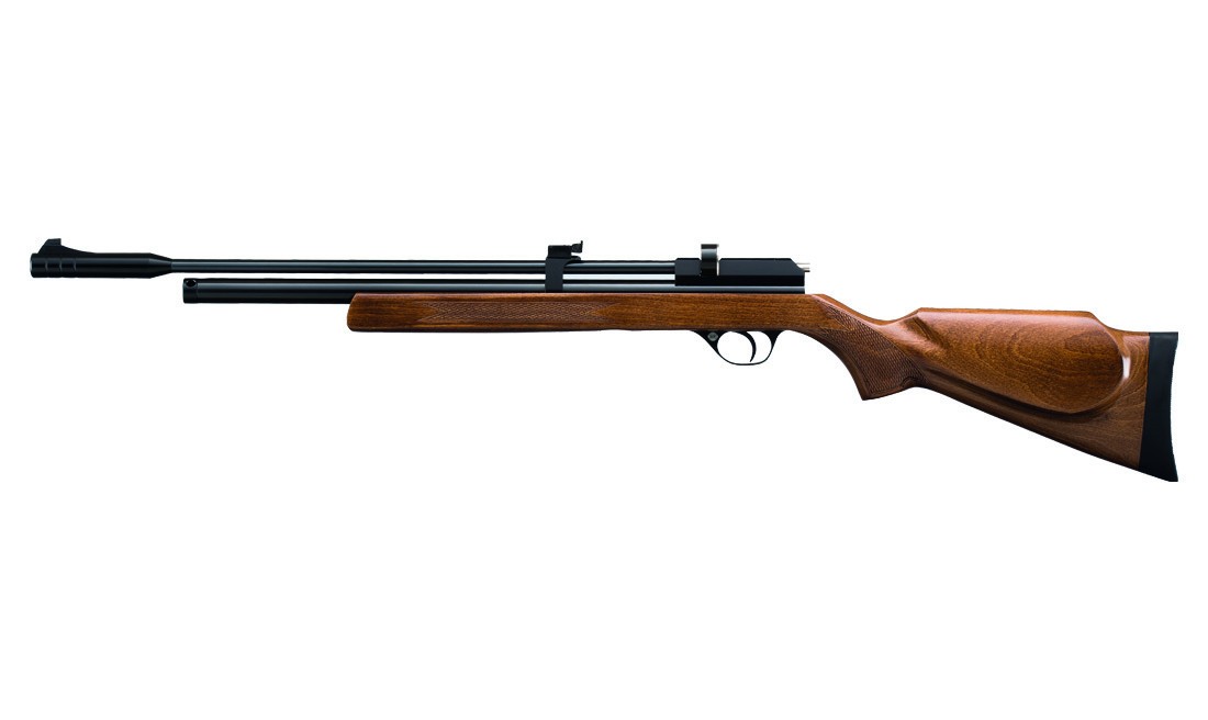 PCP RIFLE MINERVA STINGER